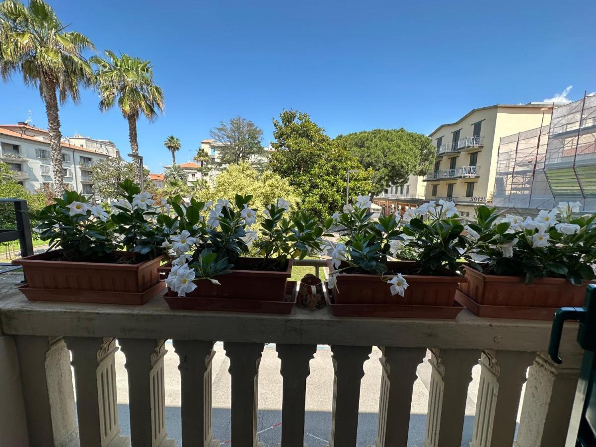 פולוניקה Domus Socolatae Residenza D'Epoca Charming B&B - Adults Only מראה חיצוני תמונה